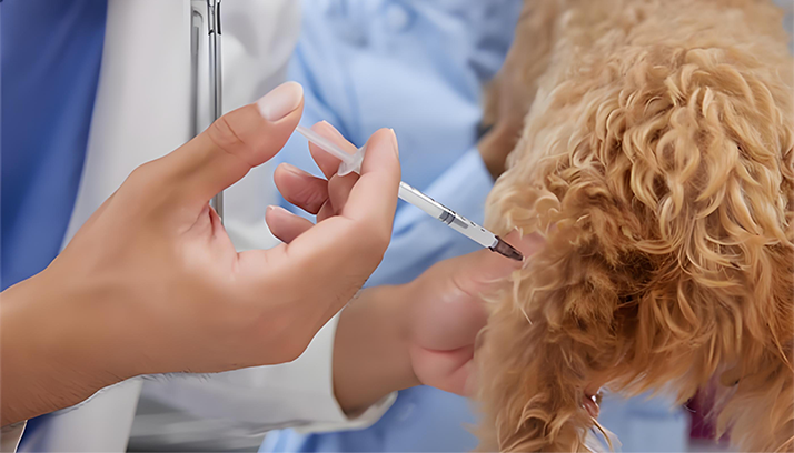Vaccinations